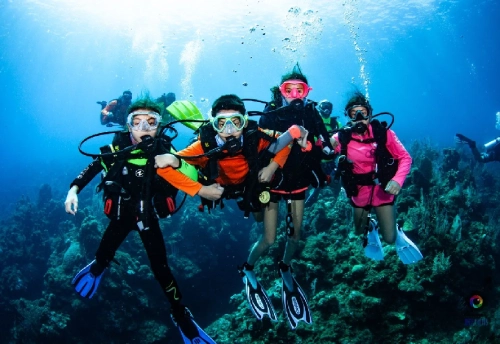 Scuba Diving Goa